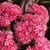 Christine Strang's profile image