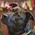 Barbara A. Behr's profile image