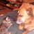 Lisa Marie's profile image