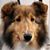 Christina McComb's profile image
