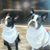 Teresa Bachelder Reed's profile image