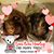Tammy Hinson Taylor's profile image