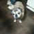 Sandy Pieper's profile image
