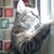Michelle Johnson's profile image