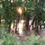 Debbie Wright Purdy's profile image