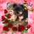 Susan Robertson Tibbs's profile image
