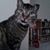 Karrie Eggleston McCullough's profile image