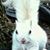Jeff Jones's profile image