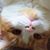 Amy Lucas Rode's profile image