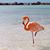 Andree Emsley's profile image