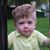 Carol Sherman Houghton's profile image