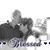 Linda Gibson's profile image