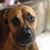 Shilee Wells's profile image
