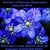 Christine Taylor's profile image