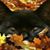 Fay Wood's profile image