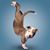 Gina Mathews's profile image