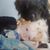 Jessie Marie's profile image