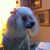 Claudia Valencia's profile image