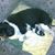 Lynda Byrne's profile image