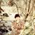 Jackie Rittel's profile image