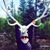 Stephanie Brooks's profile image