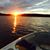 Tami Meisner's profile image