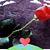 Destino Lopez's profile image