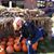 Heidi L Gardi's profile image