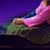Maria Galvez's profile image