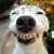 Tina Martyn's profile image