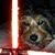 Christopher Michael's profile image