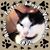 Tracy Craven's profile image