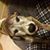 Nicole Carchio- Kuhn's profile image