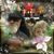 Lynn Parris's profile image