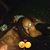 Tiffany BeautifulButterfly Freeman's profile image