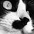 Jenny D Dunham's profile image