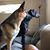 Molly Portock's profile image