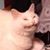 Zuleima Chowvitz's profile image