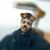 Salomão Camargo Hurmann's profile image