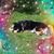 Kindra Brooks White's profile image