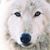 Audrianna Talkington's profile image