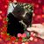 Mike Fernandez's profile image