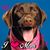 Donna Lang's profile image