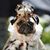 Bob Motep's profile image