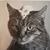 William Charles Keyes's profile image