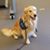 Sherri Johnson-Meinke's profile image