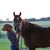 Aubrena Smith's profile image