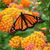 Cheryl Robinson's profile image