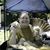 Kathy Graham's profile image