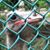Joanna G. Mills's profile image